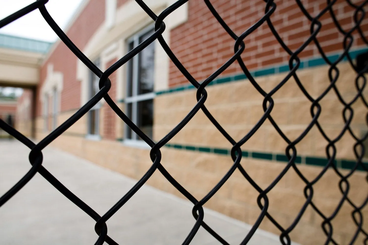 Close-up of black PVC-coated chain-wire mesh with a brick and block building blurred behind it
